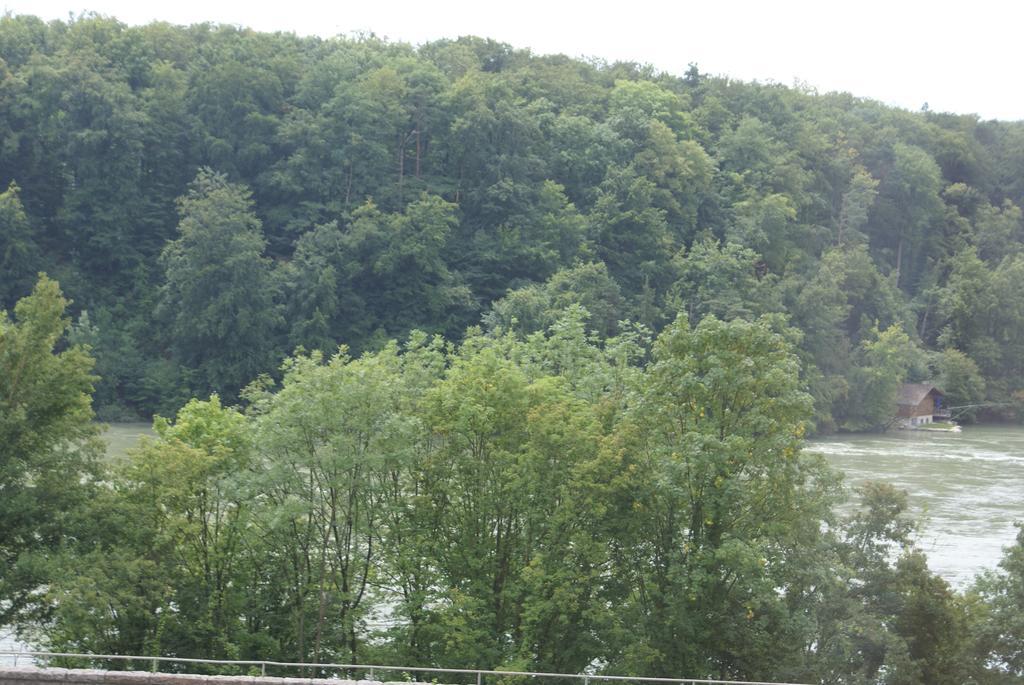 Hotel Storchen Rheinfelden  Kültér fotó
